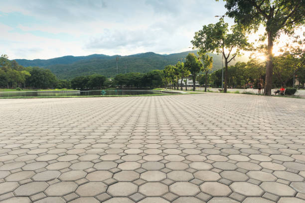 Best Cobblestone Driveway Pavers  in Snow Hill, NC